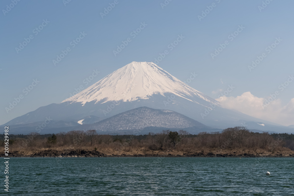 Mountain Fuji and Shojiko lake in spring season