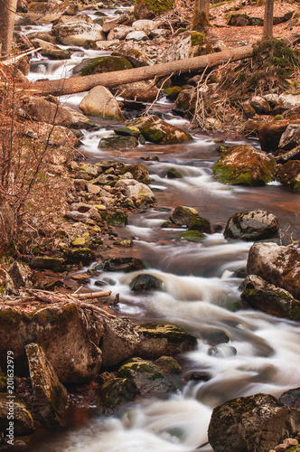 Beautiful mountain waterfalls with long exposure in golden spring sunlight. Ilsef  lle of the mountain river Ilse in the Ilsetal in Ilsenburg  National Park Harz   Saxony-Anhalt in Germany