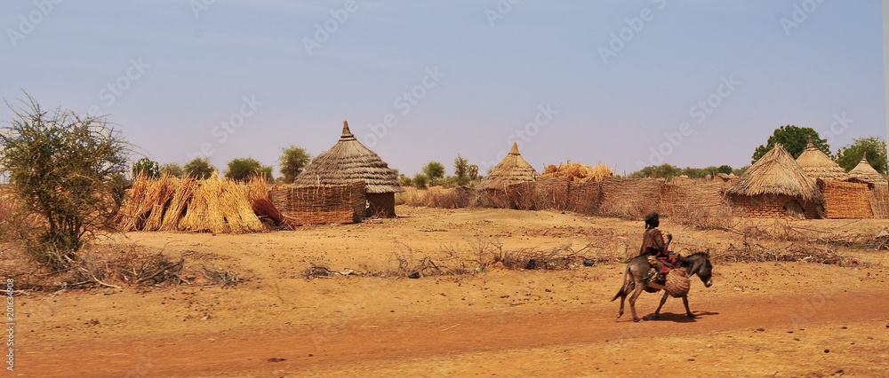 Village in the area of Sahel   in Chad
 - obrazy, fototapety, plakaty 