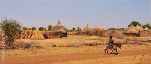 Fototapeta samoprzylepna Village in the area of Sahel   in Chad
