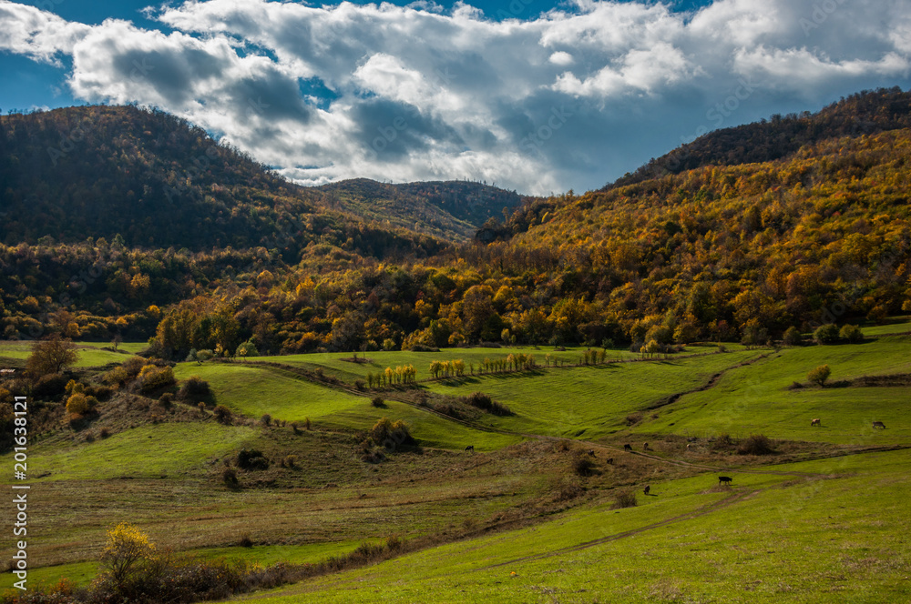 Obraz premium landscape in the mountains