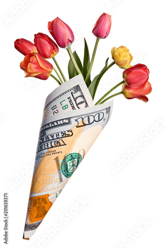 Paper bag out of one hundred dollars with colorful tulip flowers isolated on a white background