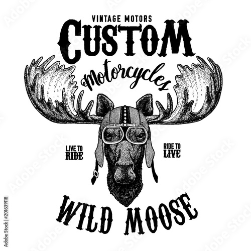 Moose, elk Biker, motorcycle animal. Hand drawn image for tattoo, emblem, badge, logo, patch, t-shirt