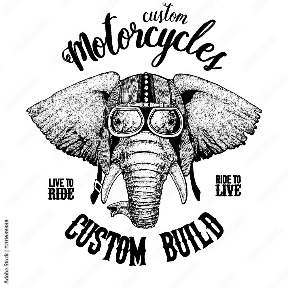Fototapeta African or indian Elephant Biker, motorcycle animal. Hand drawn image for tattoo, emblem, badge, logo, patch, t-shirt