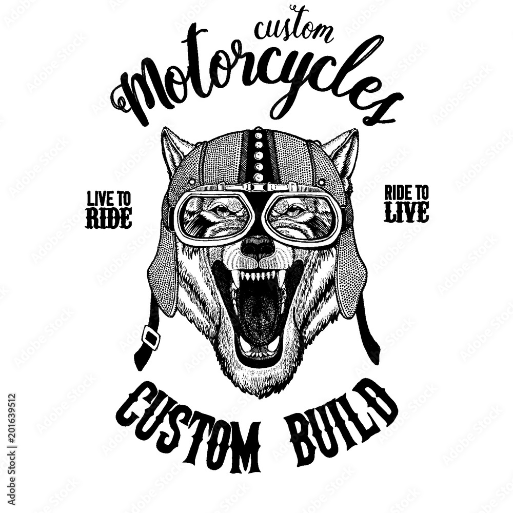 Wolf Dog Wild animal Biker, motorcycle animal. Hand drawn image for tattoo, emblem, badge, logo, patch, t-shirt Wolf Dog Wild animal Biker, motorcycle animal. Hand drawn image for tattoo, emblem, badge, logo, patch, t-shirt