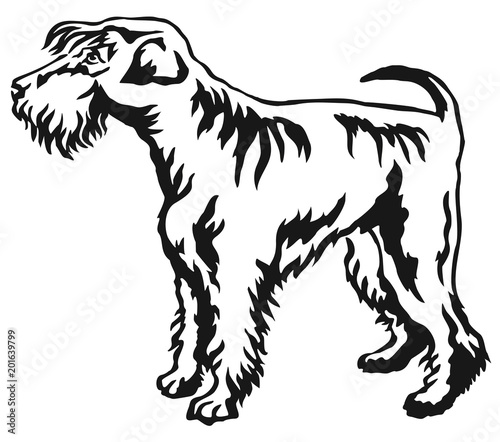 Decorative standing portrait of Schnauzer vector illustration