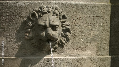 Lion head fountain  photo