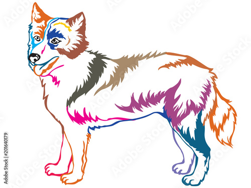 Colorful decorative standing portrait of Yakutian Laika vector illustration