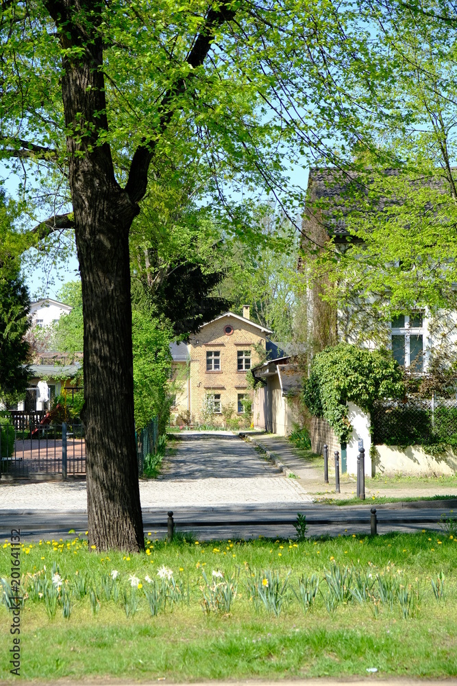 Obraz premium old house in potsdam