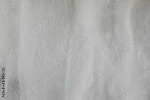 The cotton or wadding texture.The macro shot is made by means of stacking technology