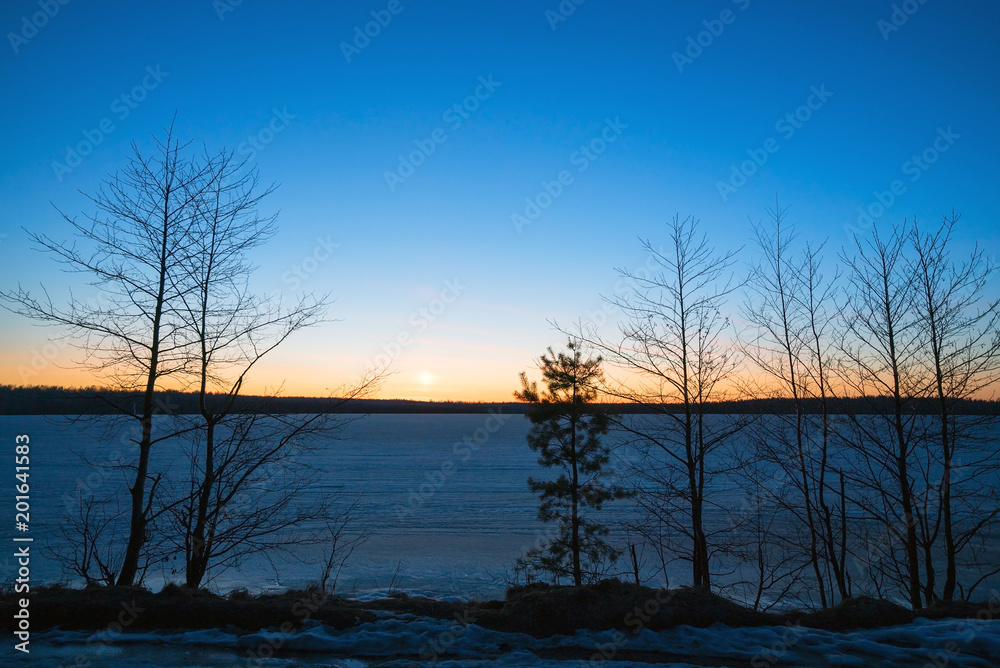 Frozen lake in the forest at sunset in the spring.