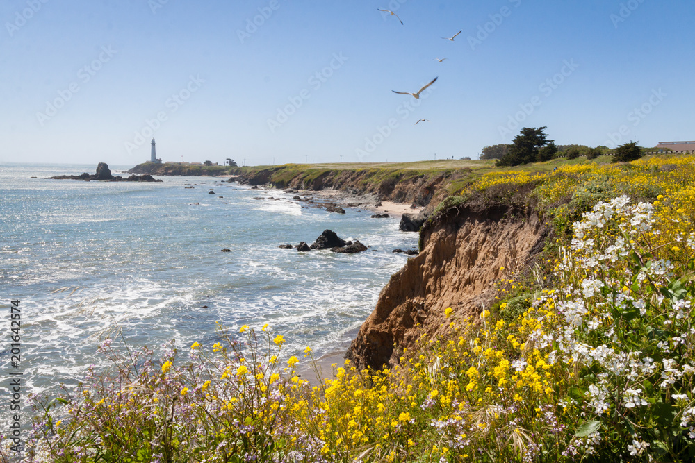 Northern California Coastline, Big Sur, USA. Surfing. Monterey and Santa Cruz area.