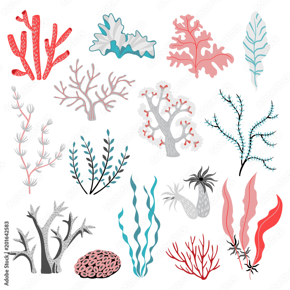 Fototapeta premium Zbiór wektorów tropikalnych wodorostów i korali. Życie morskie. Śliczne ilustracje na białym tle na białym tle