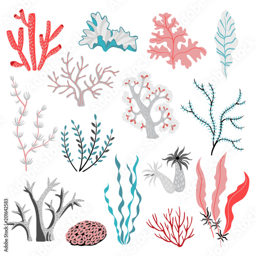 Set of vector illustrations of tropical seaweed and corals. Sea life. Cute isolated illustrations on white background
