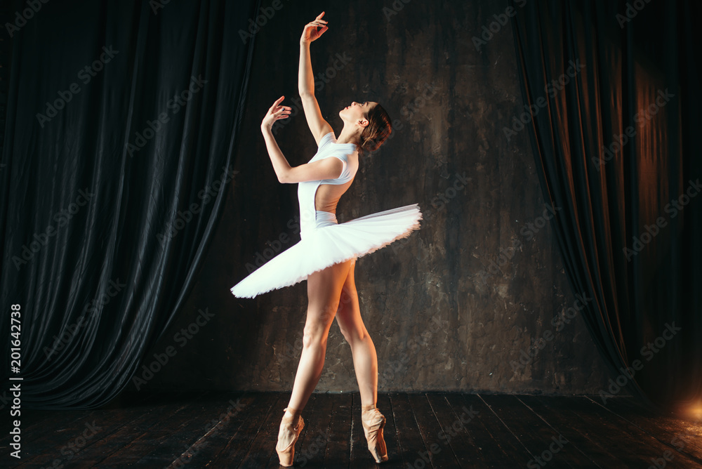 Graceful ballerina dancing in ballet class - obrazy, fototapety, plakaty 
