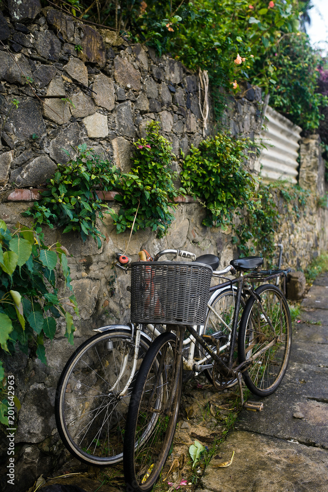  Vintage bicycle near a stone wall with ivy