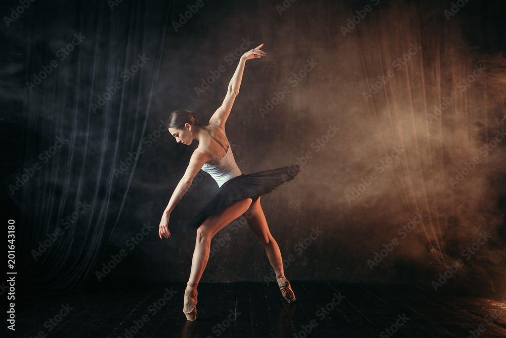 Ballerina in action, dance training on the stage