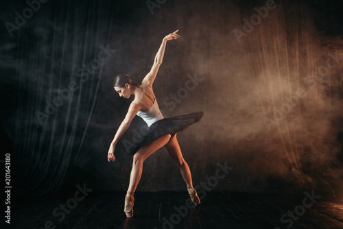 Fototapeta Naklejka Na Ścianę i Meble -  Ballerina in action, dance training on the stage