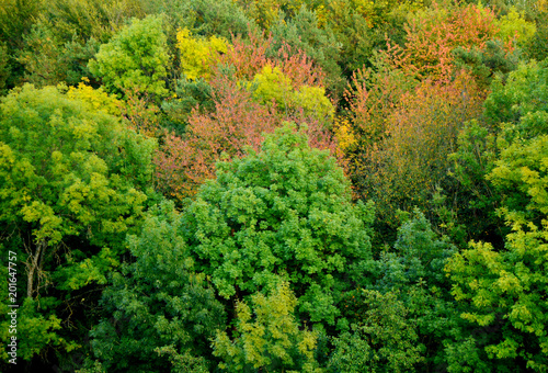 Fototapeta Naklejka Na Ścianę i Meble -  Colorful of autumn time