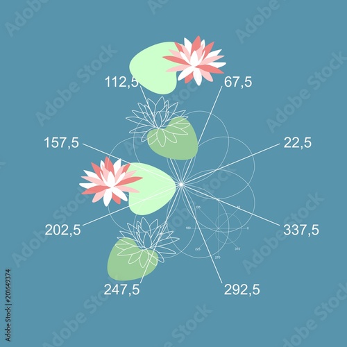 Beautiful card with mathematical plots and leaves and flowers of water lily on blue background. Vector illustration.