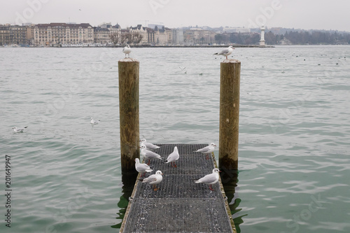 Geneva