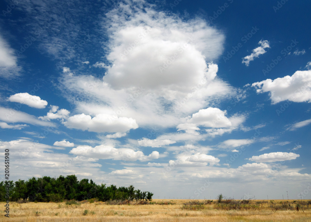 Summer landscape of the steppe white clouds on a blue sky