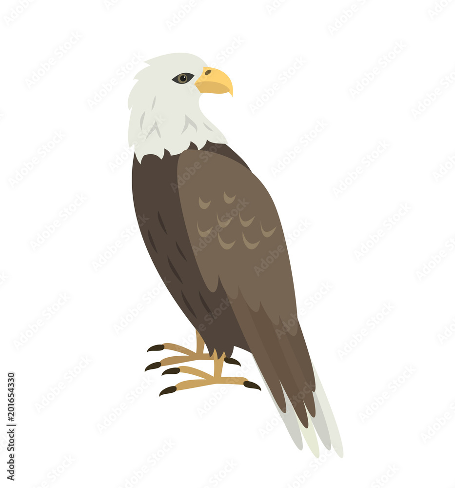 Fototapeta premium Cartoon eagle icon on white background.