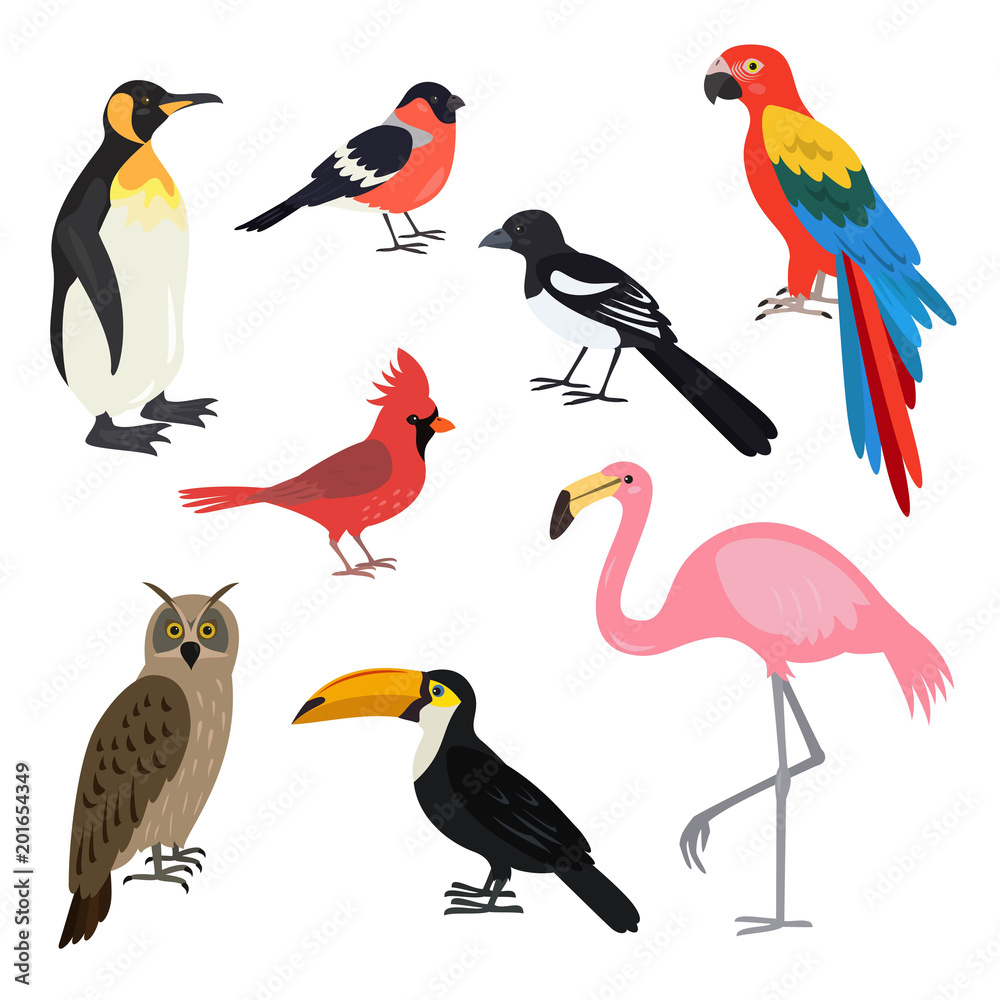Naklejka premium Set of cartoon cute birds on white background.