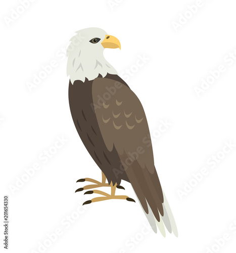 Cartoon eagle icon on white background.