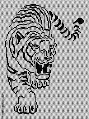 Fototapeta Naklejka Na Ścianę i Meble -  Aggressive tiger hunting