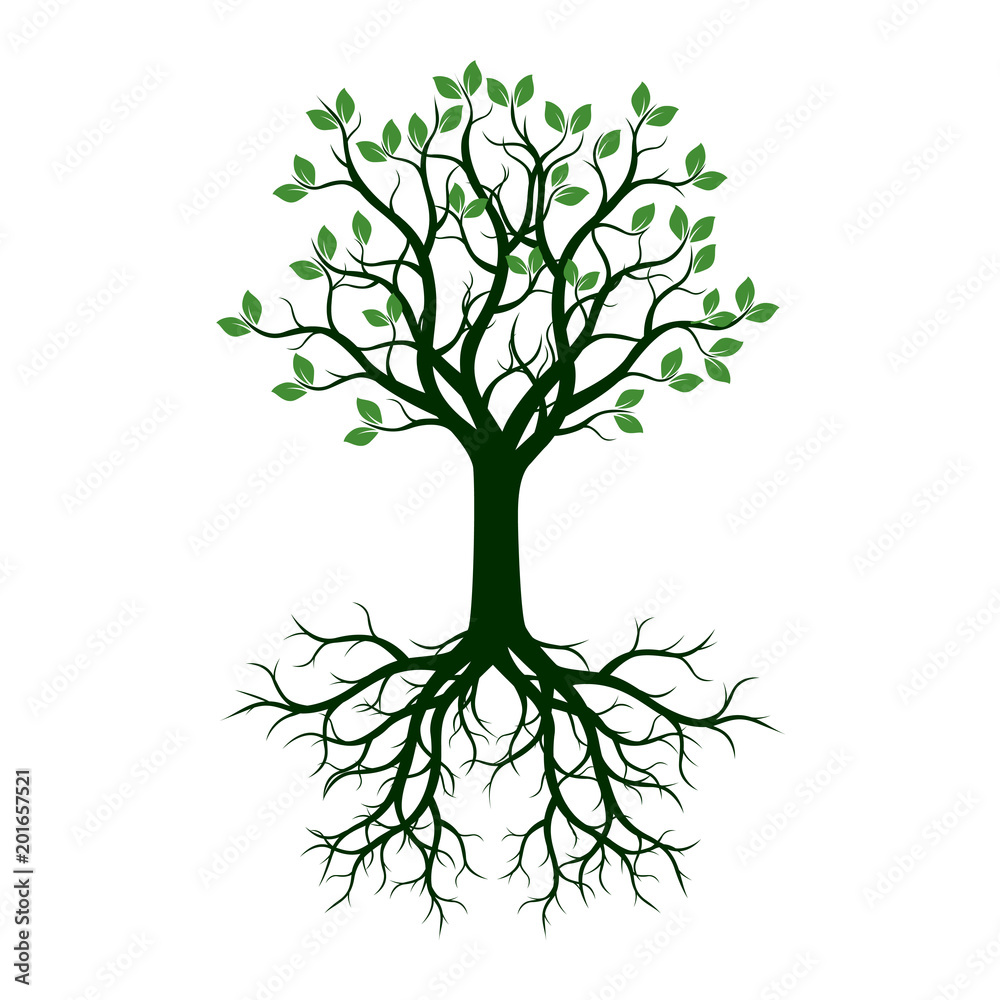 Green Tree with Roots. Vector Illustration. Green Tree with Roots. Vector Illustration.