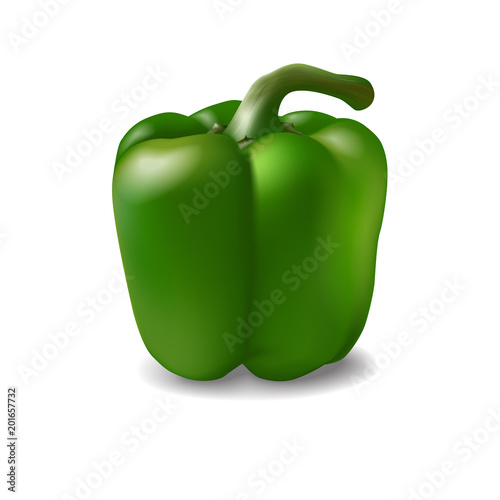  Realistic 3D sweet green pepper with stem isolated on white background.