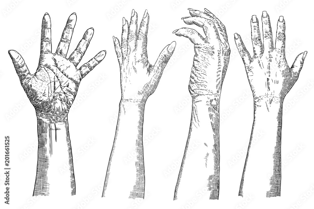 Girl hands gestures on white background set. Vector. Girl hands gestures on white background set. Vector.
