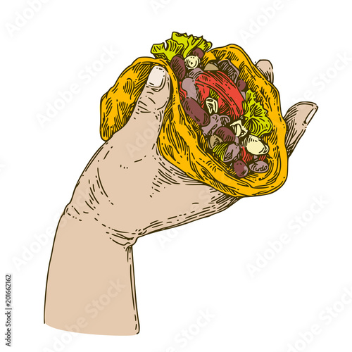 Hand holding delicious mexican tacos. Color. Engraving style. Vector illustration.