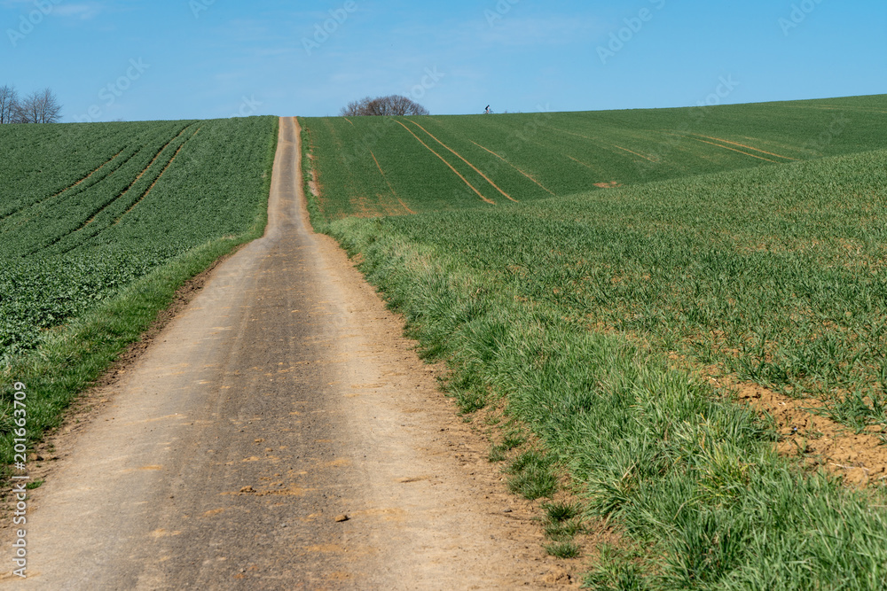 Felder in der Intensivlandwirtschaft Felder in der Intensivlandwirtschaft