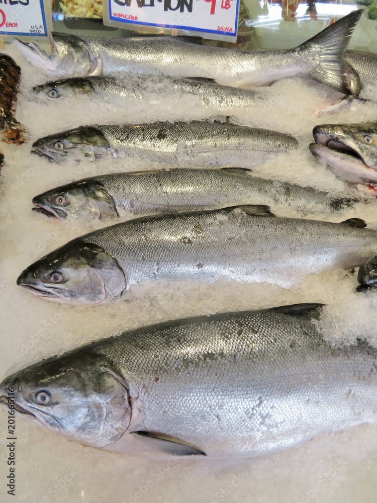 Alaskan salmon  for sale at an outdoor seafood market