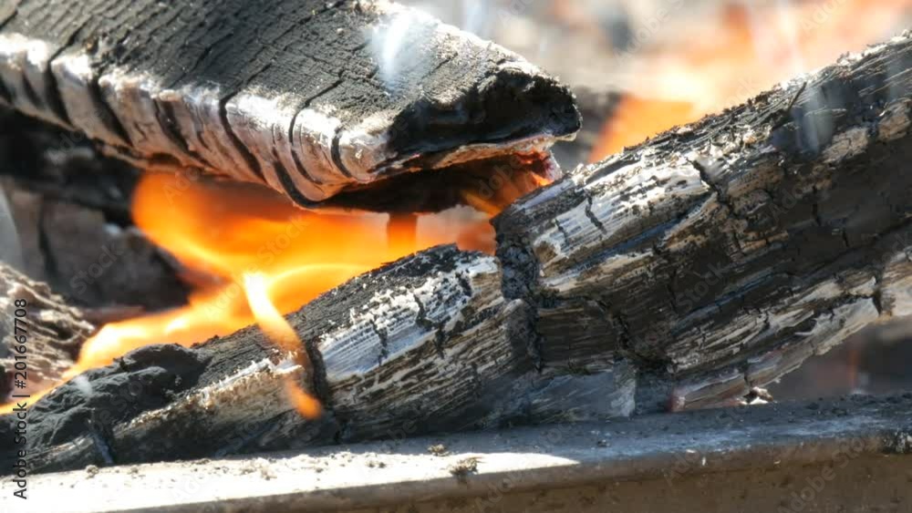 Bright fire which burn firewood close up view Bright fire which burn firewood close up view