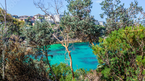 Sunny beautiful summer coast view to Sydney beach and blue Tasman Sea wild wave water and sandy white beaches perfect for surfing swimming hiking  Coogee to Bondi Walk  NSW  Australia - 10 11 2017