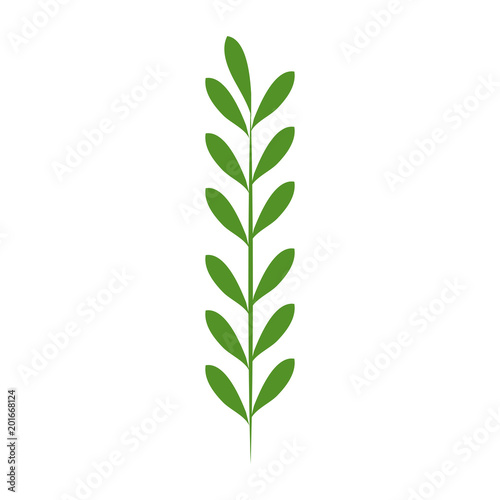 leaf of marine plant vector illustration design