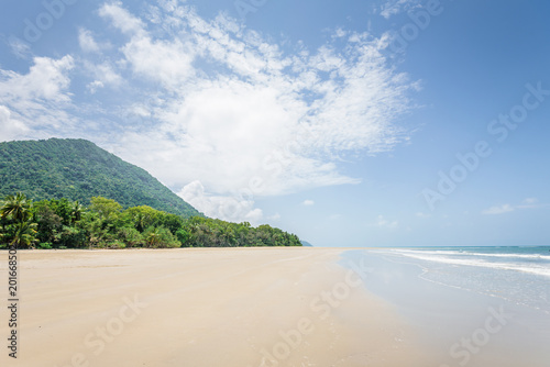 Fototapeta Naklejka Na Ścianę i Meble -  Magical palm trees view on warm summer day at a relaxing beach with white sand and crystal clear water and a rain forest in the background with coconut palms near wild ocean sea, Daintree, Australia