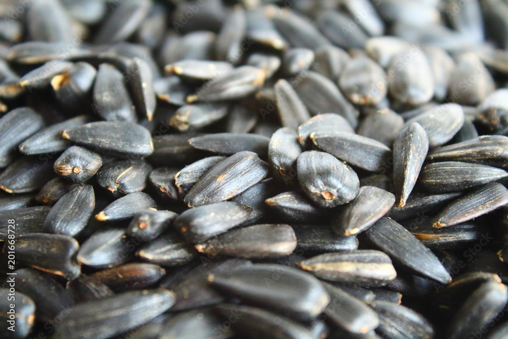 Sunflower seeds are black, fried and salted on a tray. Close-up. Isolated.