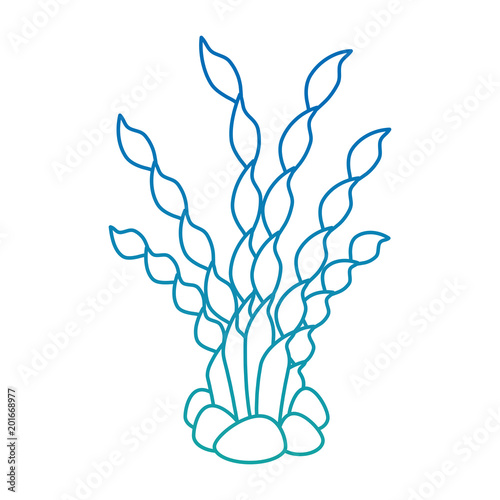 aquarium decorative seaweed icon vector illustration design