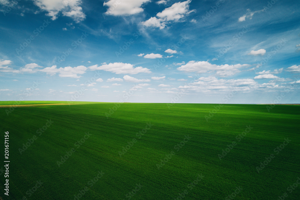 Fototapeta premium Aerial view over the agricultural fields
