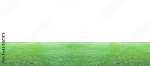 Green grass field on a white background.