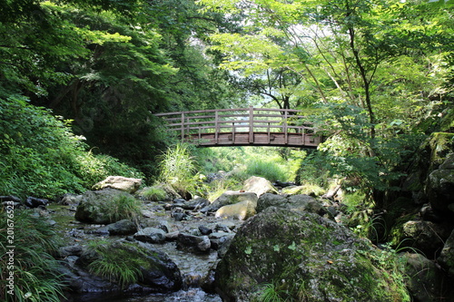 埼玉県寄居町ハイキングコース・風の道（風布川）