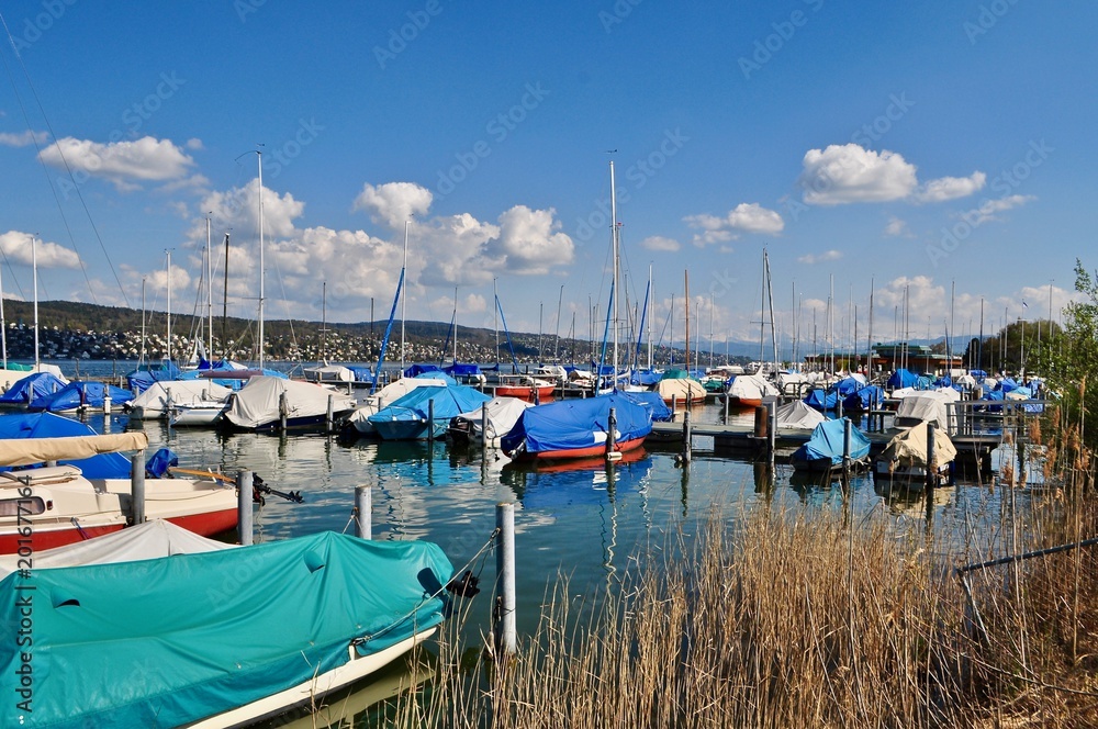 Boote: Segelboote, Segelyachten und Motorboote vor Anker im Hafen der Stadt Zürich am Zürichsee, Schweiz