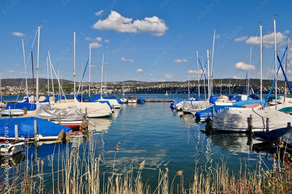 Bootshafen / Hafen der Stadt Zürich am Zürichsee - Schweiz. Schweizer See mit Segelboote, Motorboote, Segelschiffe, Segelyacht