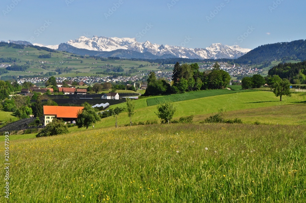Landschaft Zimmerberg mit Wiesen und Bäumen bei Horgen Oberdorf mit Blick auf die Gemeinde Samstagen und Schindellegi und die verschneiten Glarner Alpen / Berge im Hintergrund Landschaft Zimmerberg mit Wiesen und Bäumen bei Horgen Oberdorf mit Blick auf die Gemeinde Samstagen und Schindellegi und die verschneiten Glarner Alpen / Berge im Hintergrund