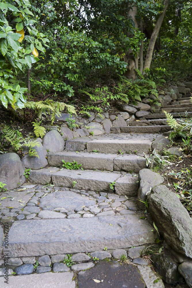 日本庭園 日本庭園