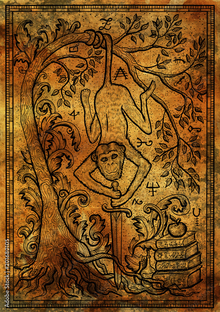 Monkey symbol with sword, books, baroque decorated tree and mystic signs on antique texture background. Fantasy engraved illustration. Zodiac animals of eastern calendar